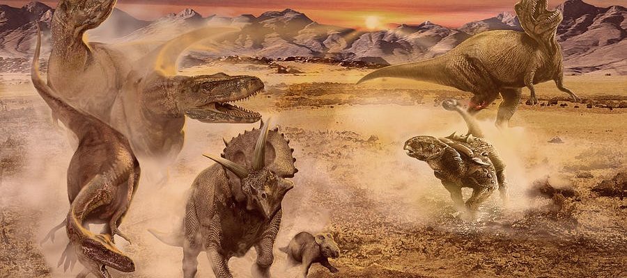 Доступ к базе данных Динозавров