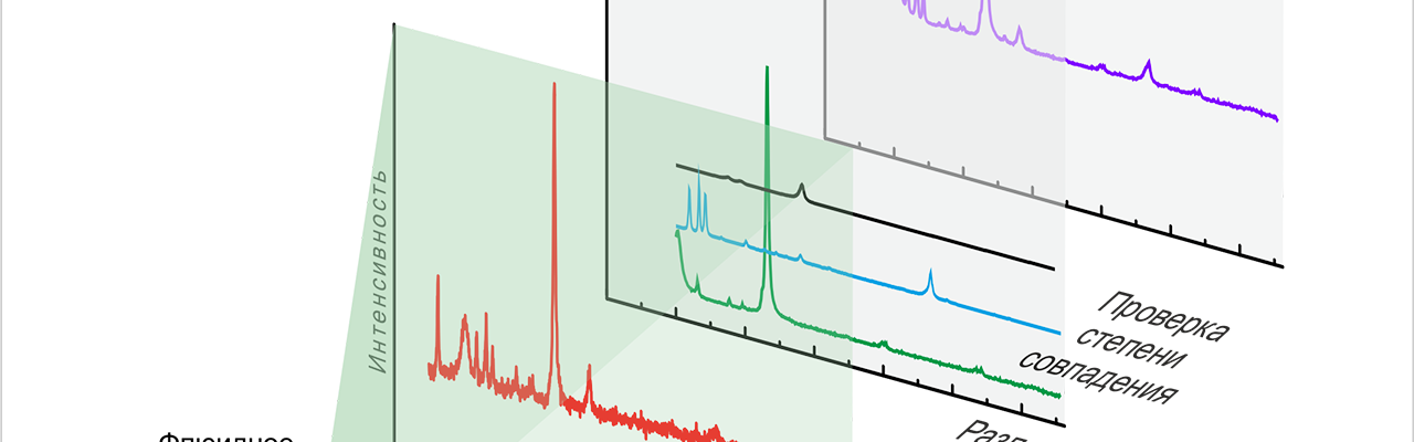 Российские ученые создали веб-приложение, способное расшифровывать состав микровключений в минералах